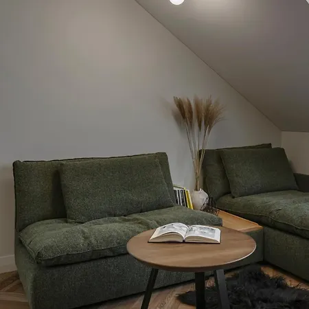 Luxury Living Apartament Kowno